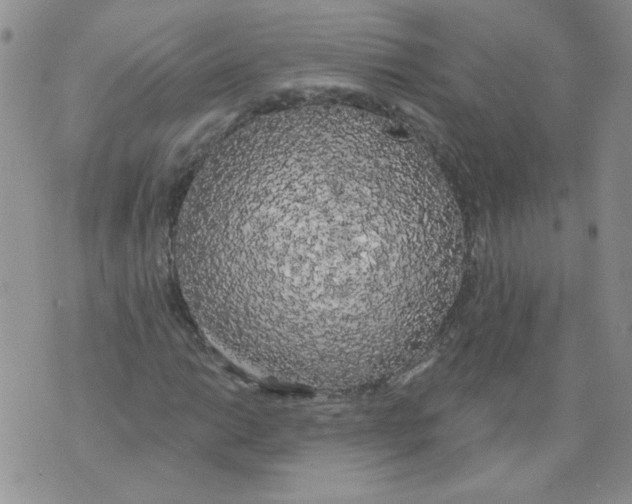 X0000071771014200607282208