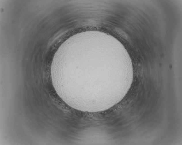 X0000071771015200607282208