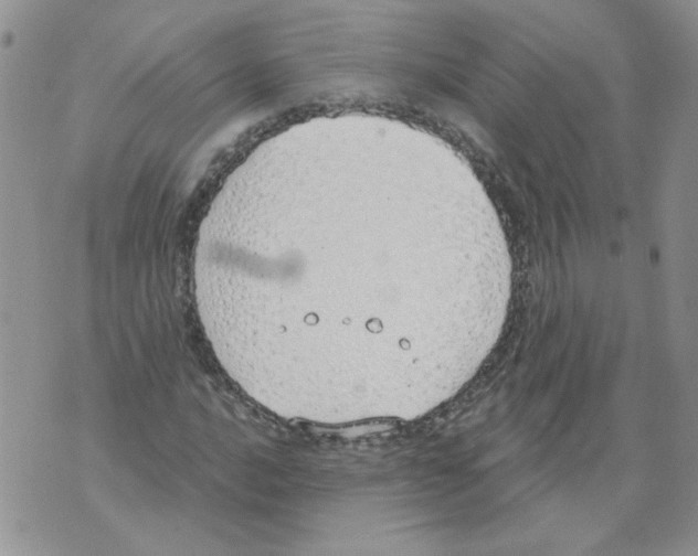 X0000071771016200607282208