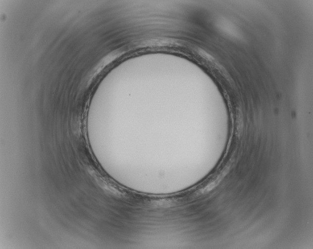 X0000071771017200607282208