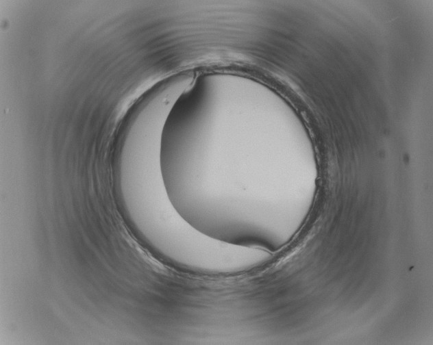 X0000071771018200607282208