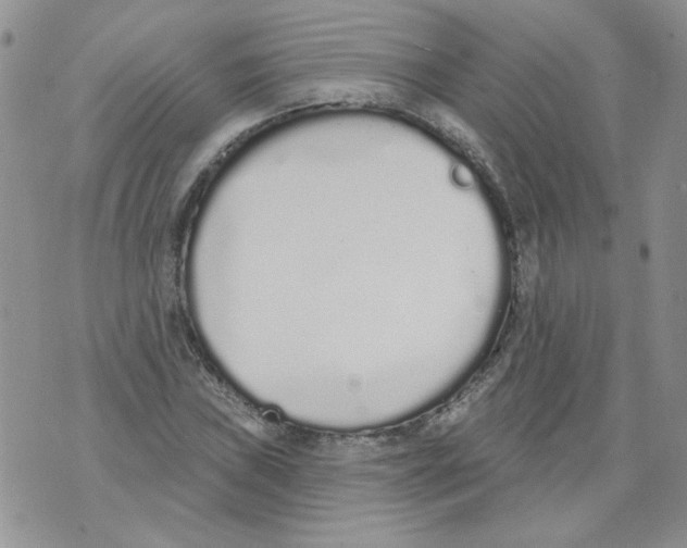 X0000071771019200607282208