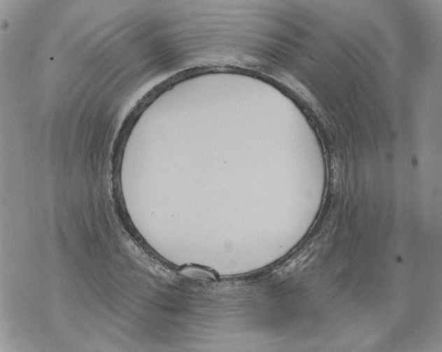 X0000071771020200607282208