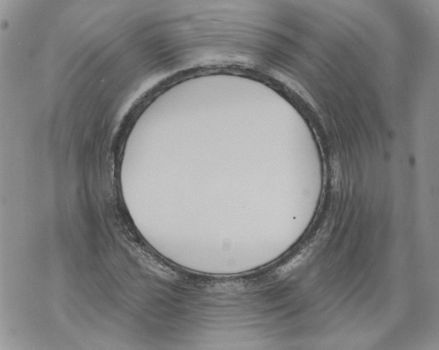 X0000071771021200607282208