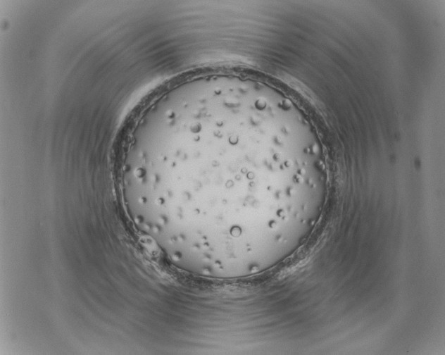 X0000071771022200607282208