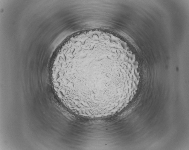 X0000071771023200607282208