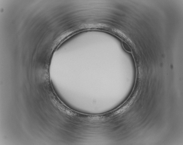 X0000071771025200607282208