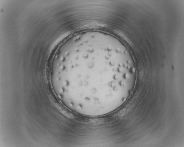 X0000071771026200607282208