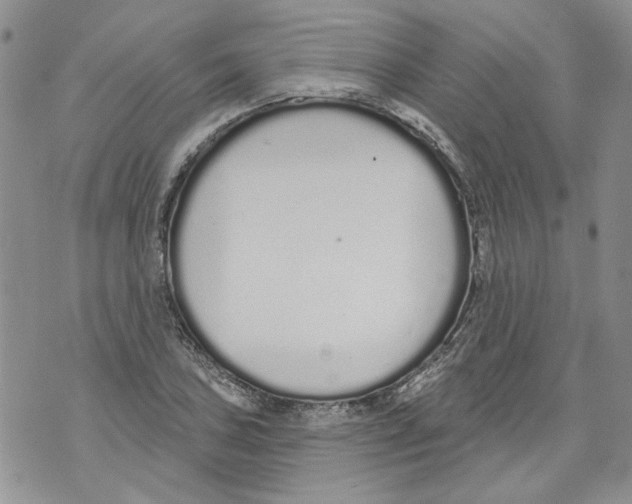 X0000071771027200607282208