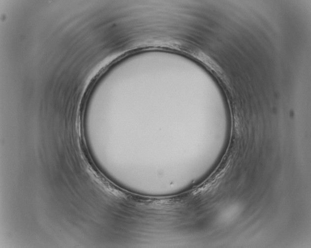 X0000071771028200607282208