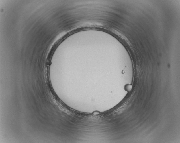 X0000071771029200607282208