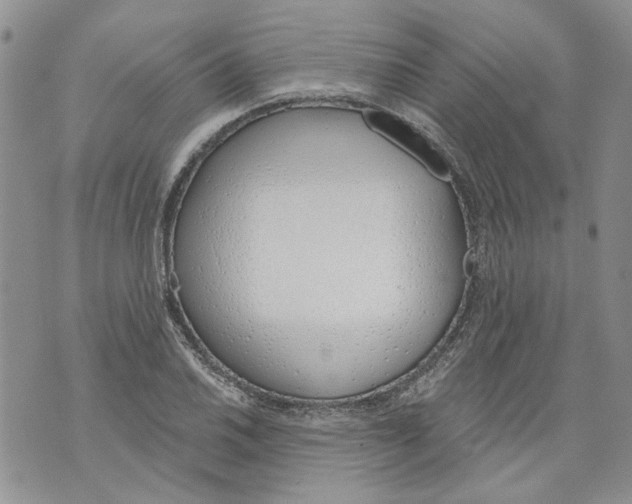 X0000071771030200607282208