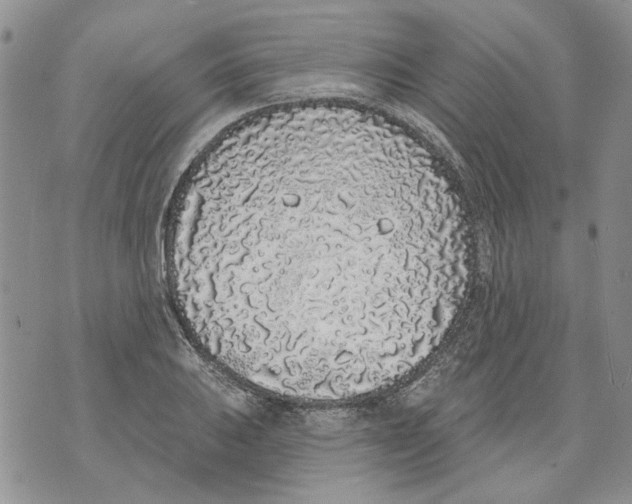 X0000071771031200607282208