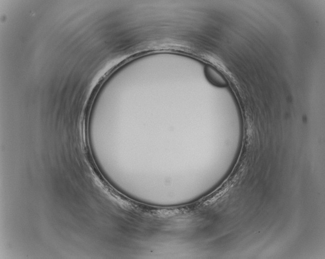 X0000071771032200607282208