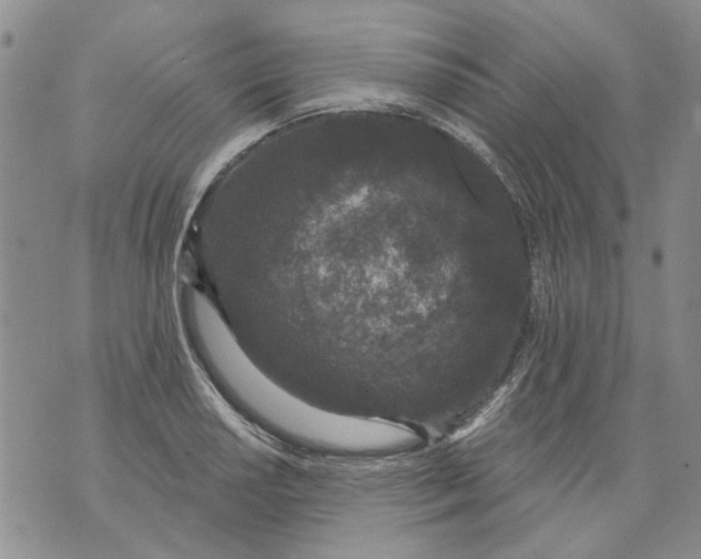 X0000071771034200607282208