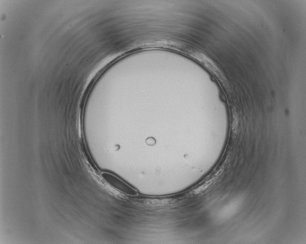 X0000071771036200607282208