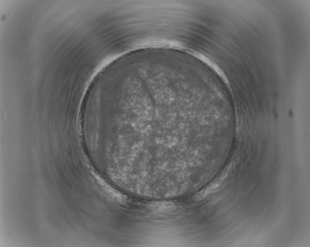 X0000071771037200607282208