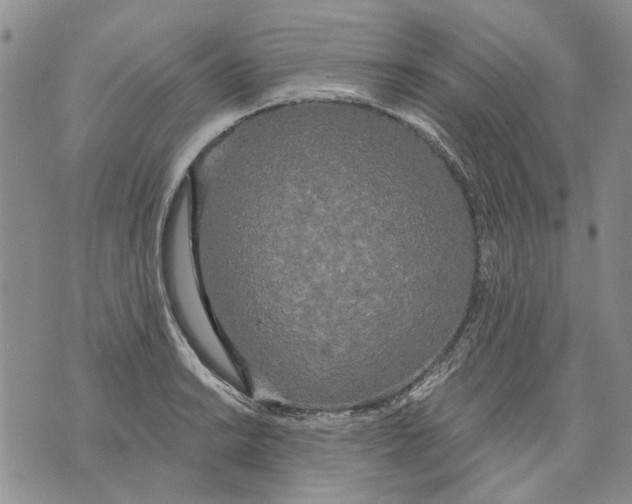 X0000071771038200607282208