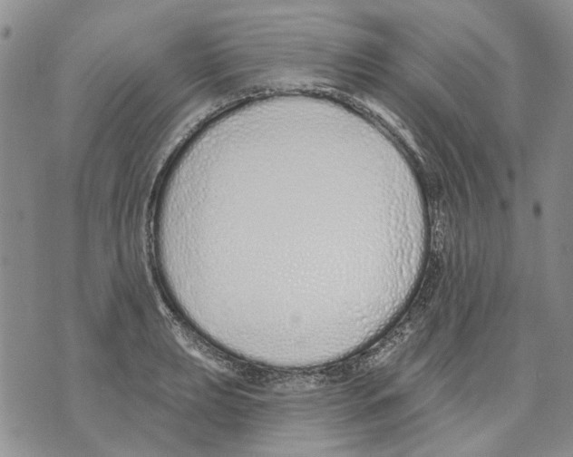 X0000071771039200607282208