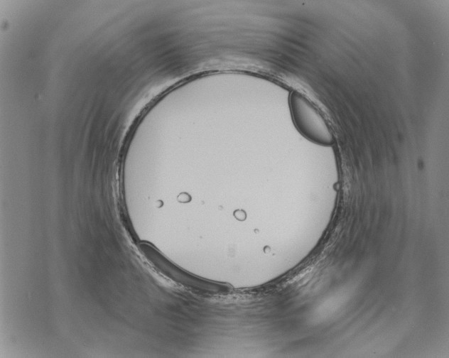 X0000071771040200607282208