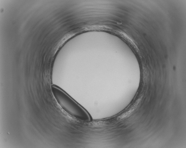 X0000071771041200607282208