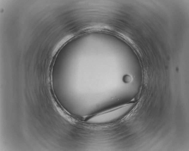 X0000071771042200607282208