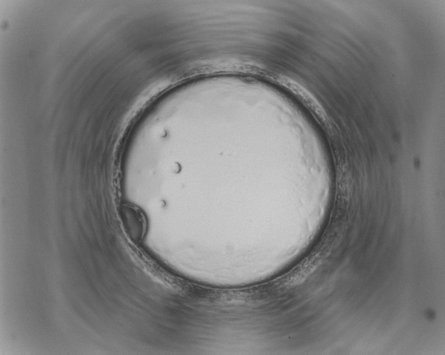 X0000071771043200607282208