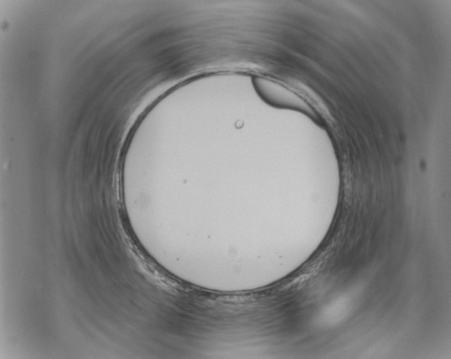 X0000071771044200607282208