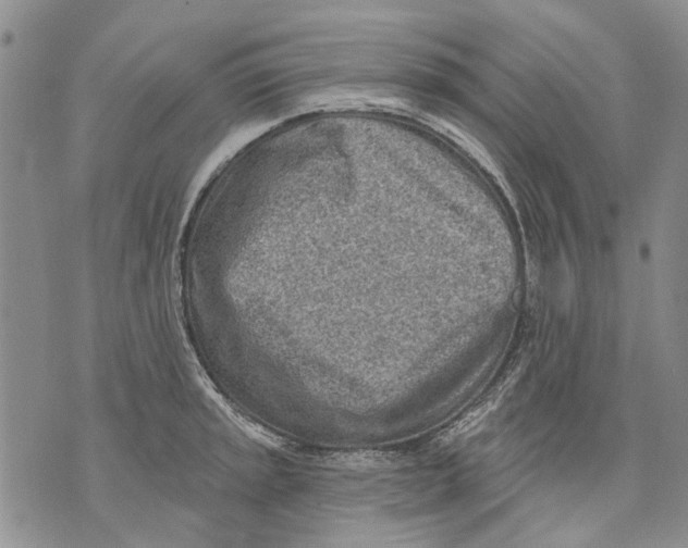 X0000071771045200607282208