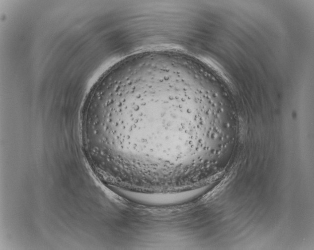 X0000071771046200607282208