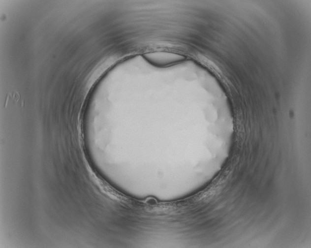 X0000071771047200607282208