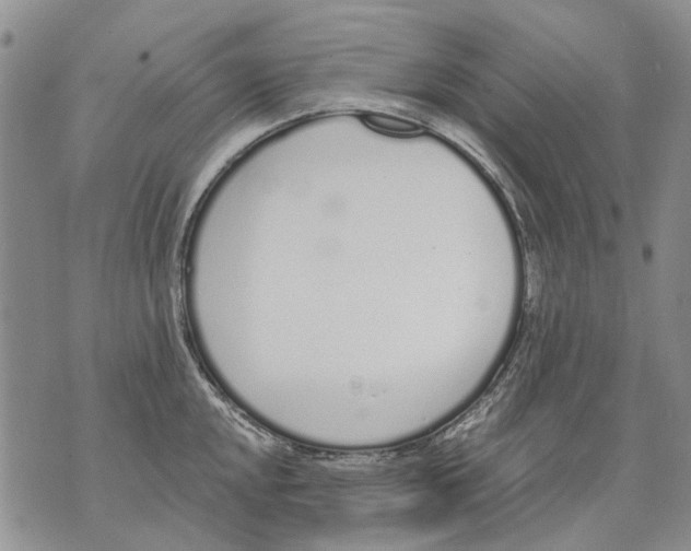 X0000071771048200607282208