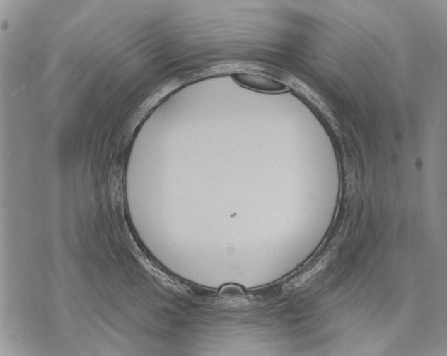 X0000071771049200607282208