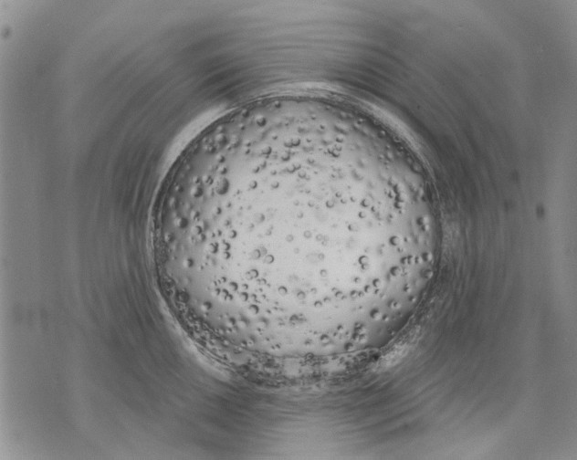 X0000071771050200607282208