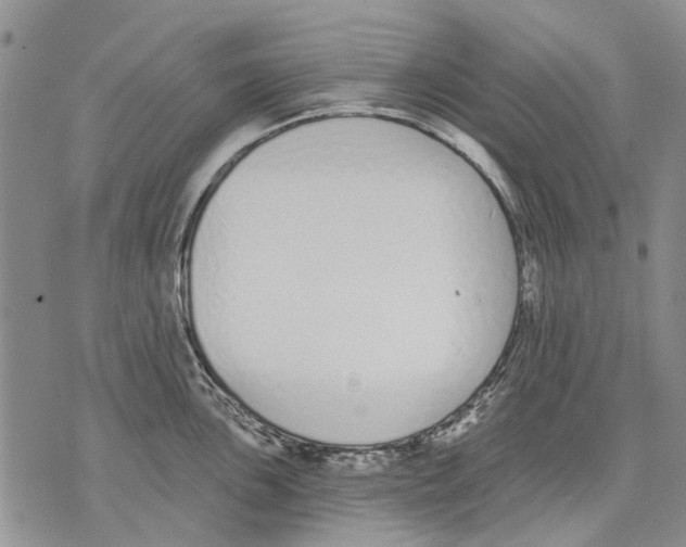 X0000071771051200607282208