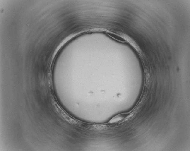 X0000071771052200607282208