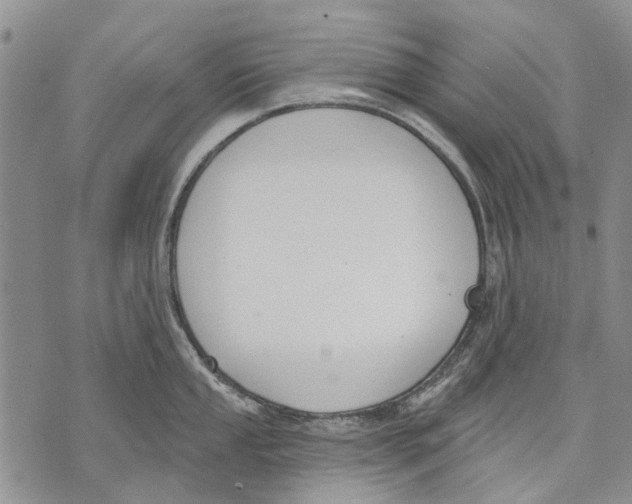 X0000071771053200607282208