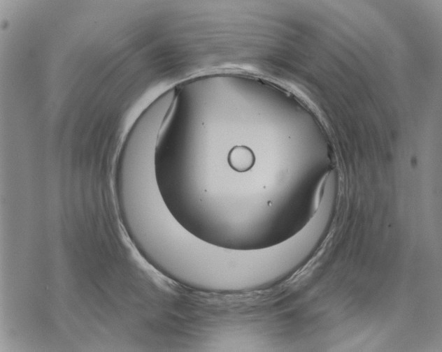 X0000071771054200607282208