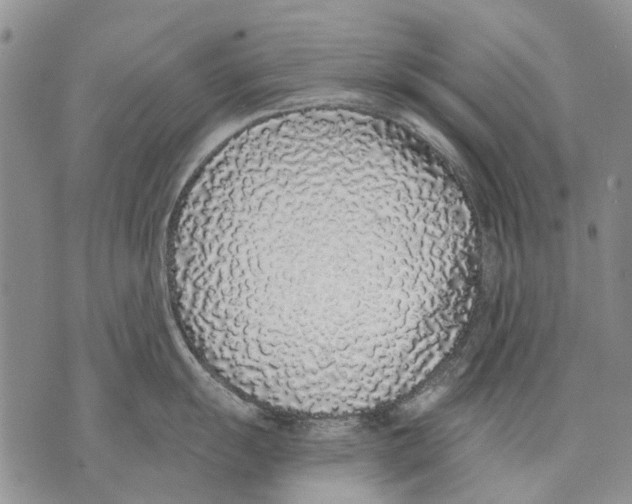 X0000071771055200607282208