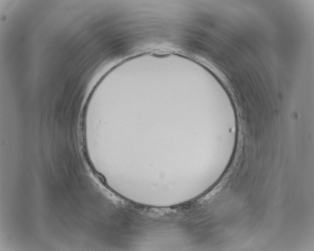 X0000071771056200607282208