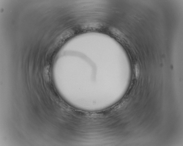 X0000071771059200607282207