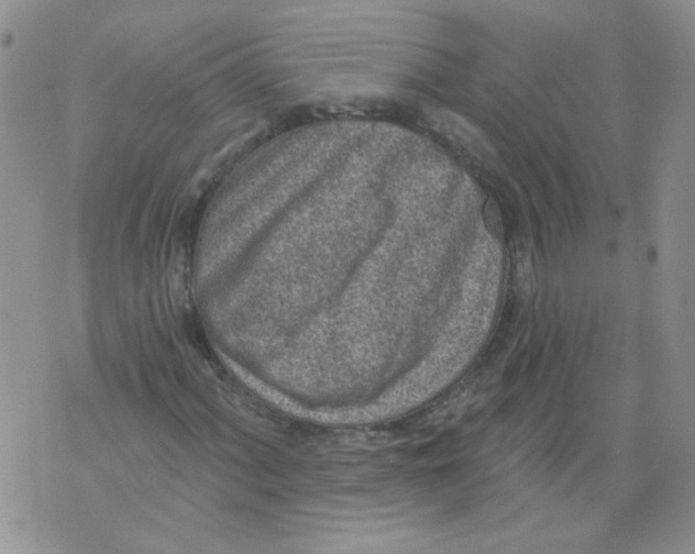 X0000071771060200607282207