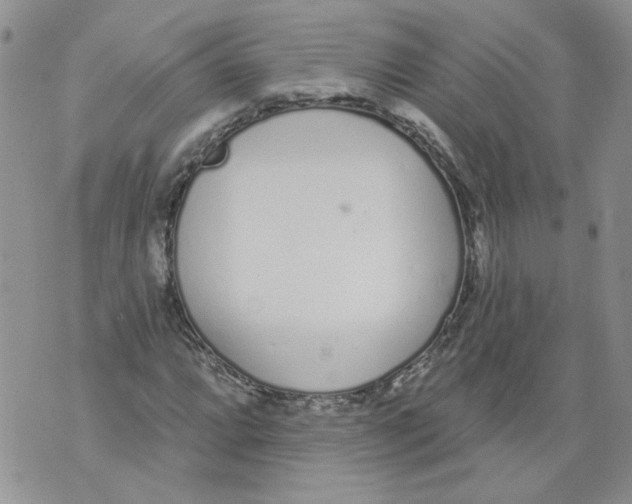 X0000071771064200607282207