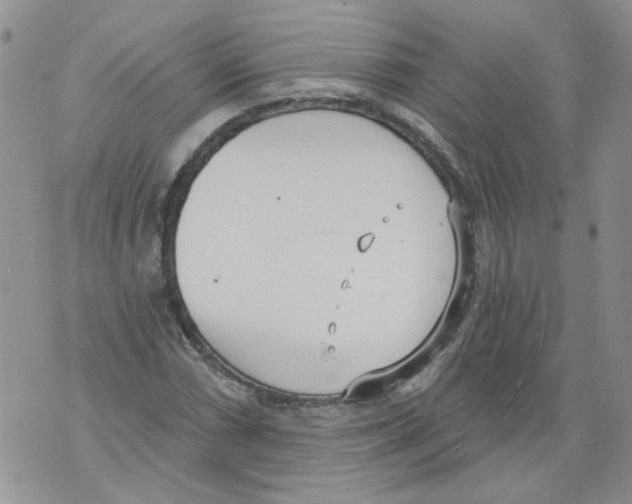 X0000071771066200607282207