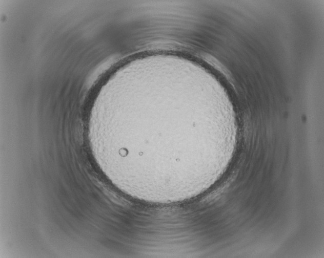 X0000071771067200607282207