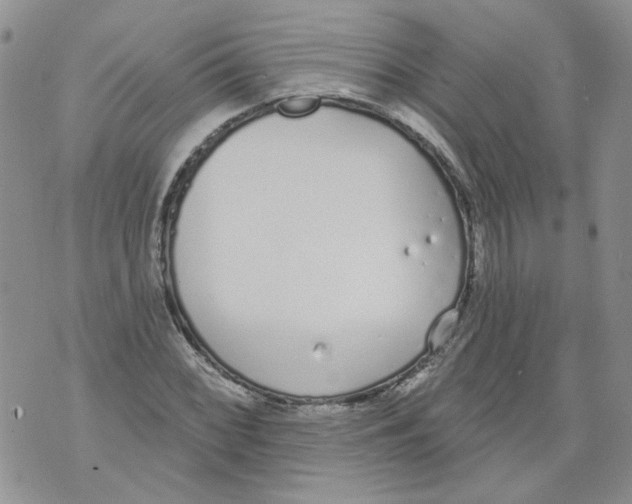 X0000071771068200607282207