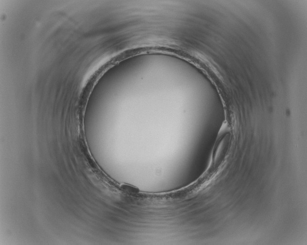 X0000071771069200607282207