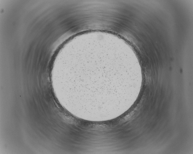 X0000071771070200607282207