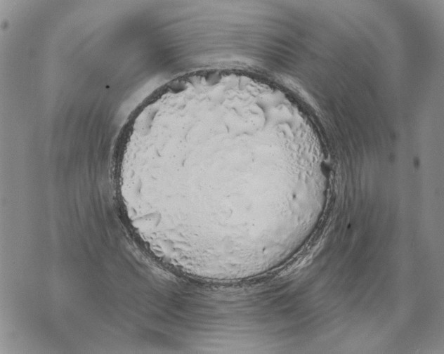 X0000071771071200607282207