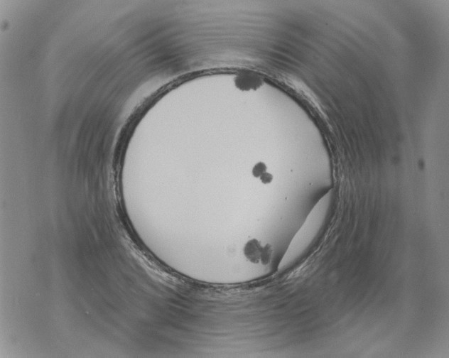 X0000071771072200607282207